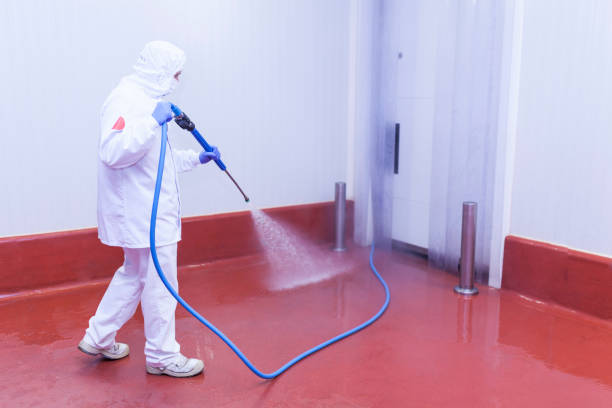  East Marion, NY Pressure Washing Pros